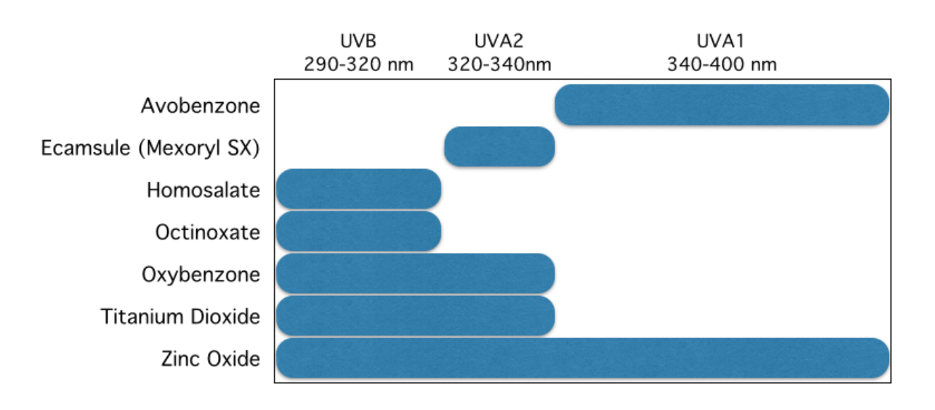 sunscreen ingredients UV effectiveness