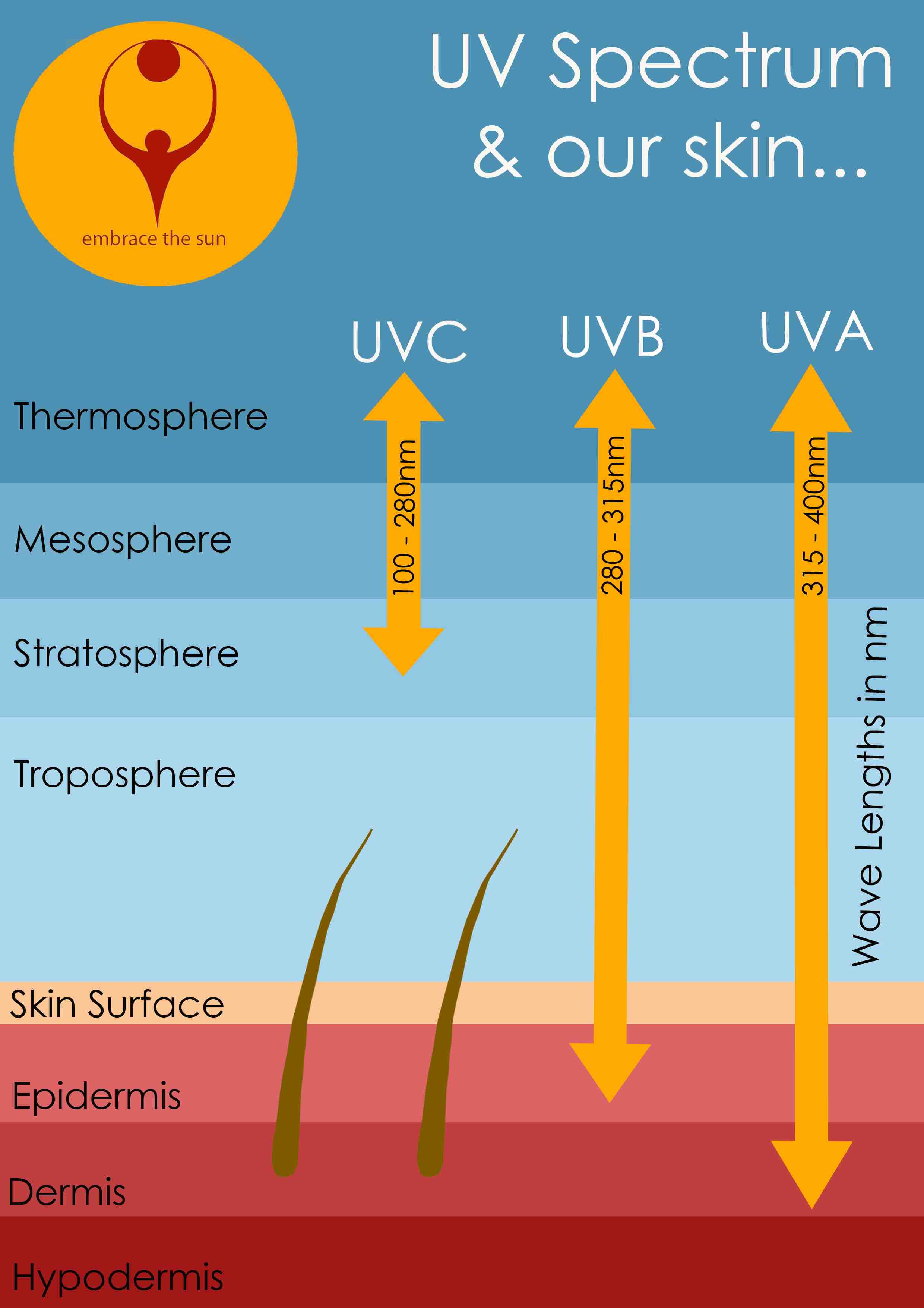 UV spectrum portrait skin