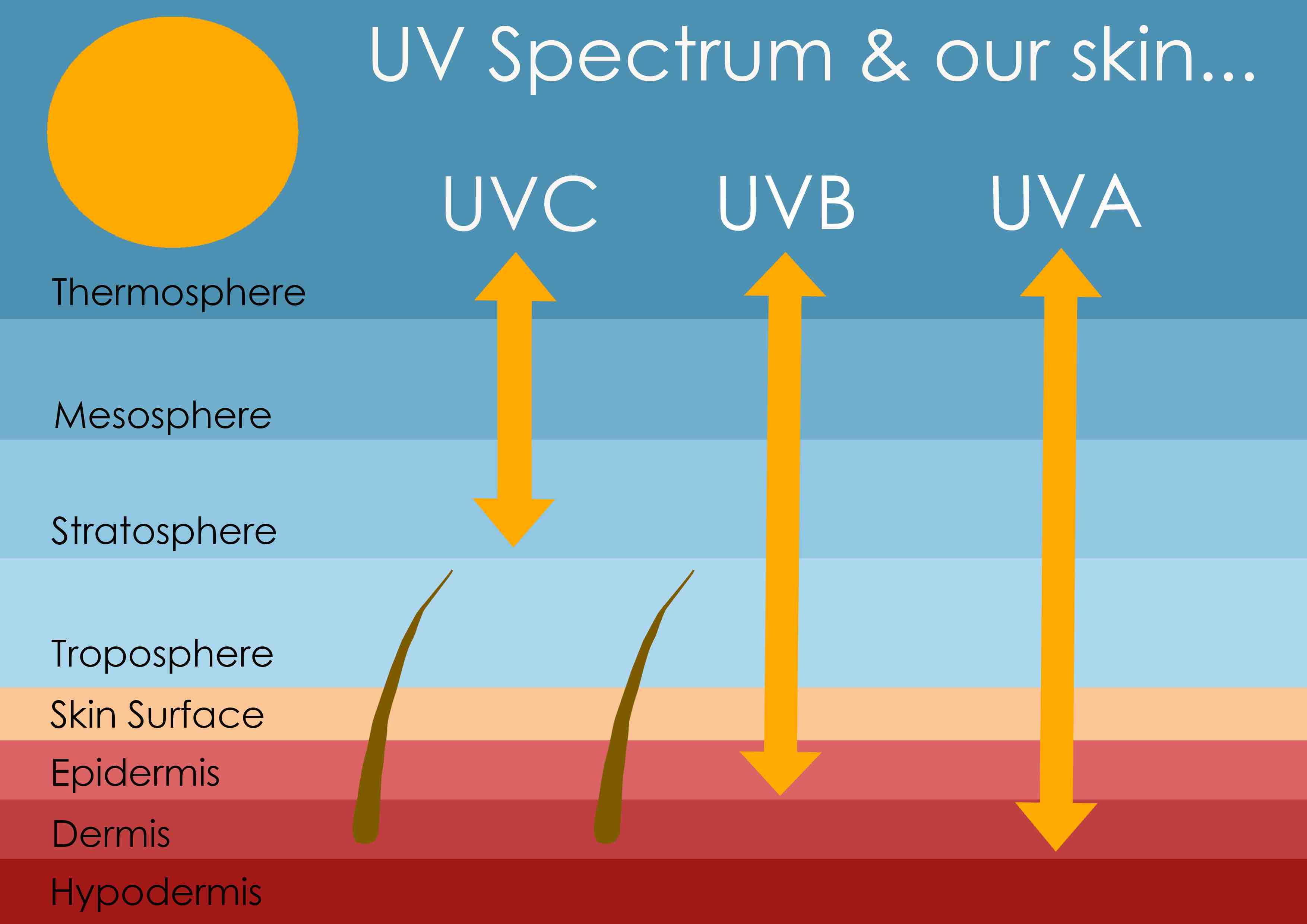 UV spectrum skin
