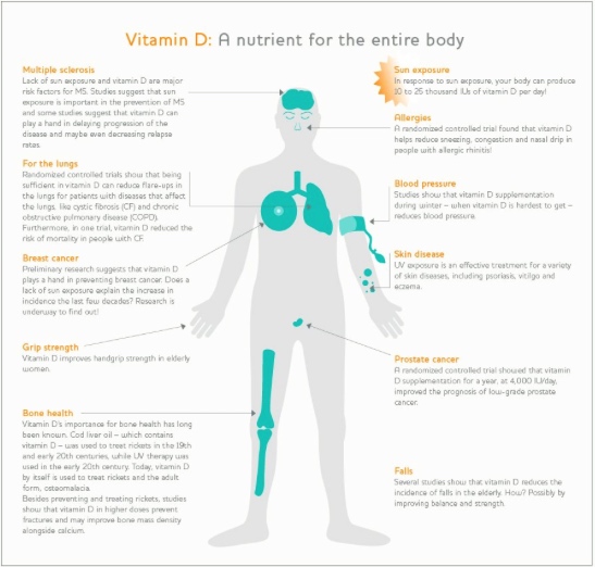 Vitamin D  for the whole body