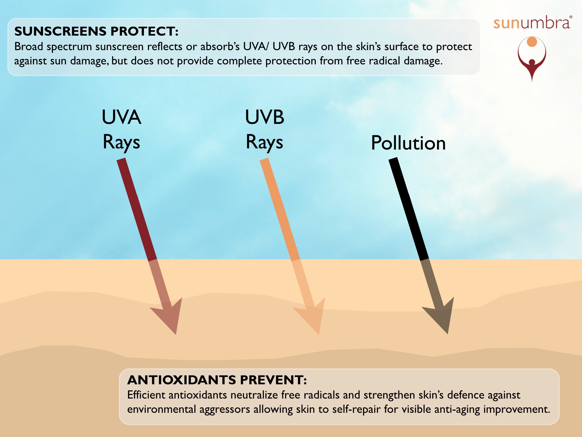 Antioxidants and sunscreen