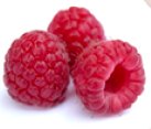 Red Raspberries